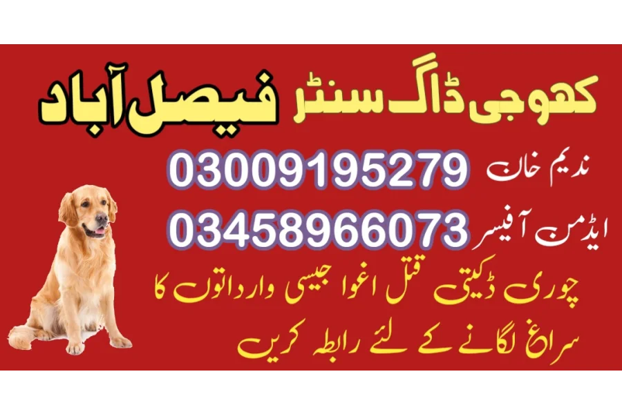 Army dog center faisalabad 03018665280 khoji dog center faisalabad