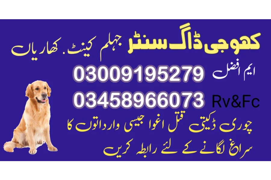آرمی ڈاگ سنٹر جہلم 03009195279 کھوجی ڈاگ سنٹر