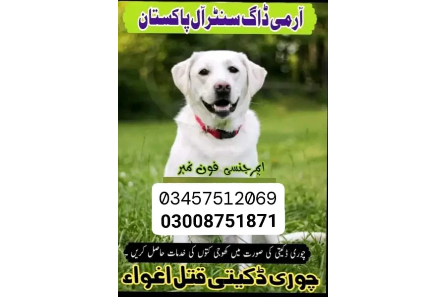 Army Dog Center kharian 03457512069