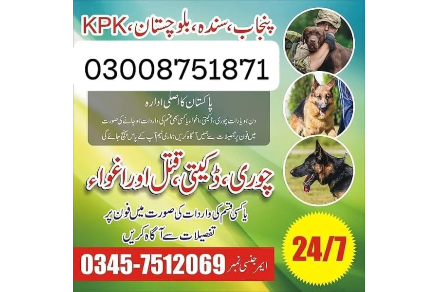 آرمی ڈاگ سینٹر حملہ 03457529494