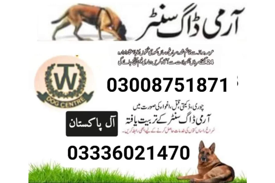 Army Dog Center mardan 03336021470