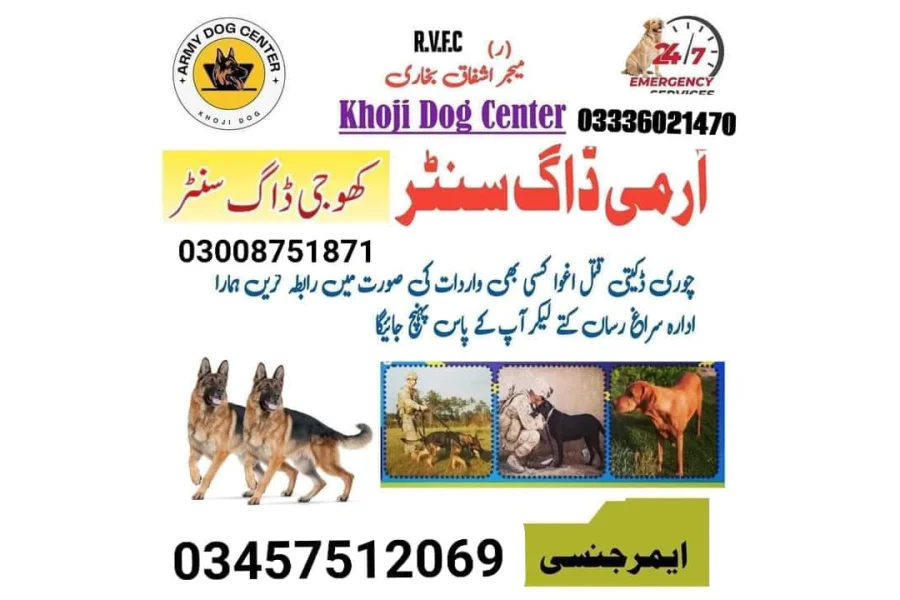 آرمی ڈاگ سنٹر گوجر خان 03457512069