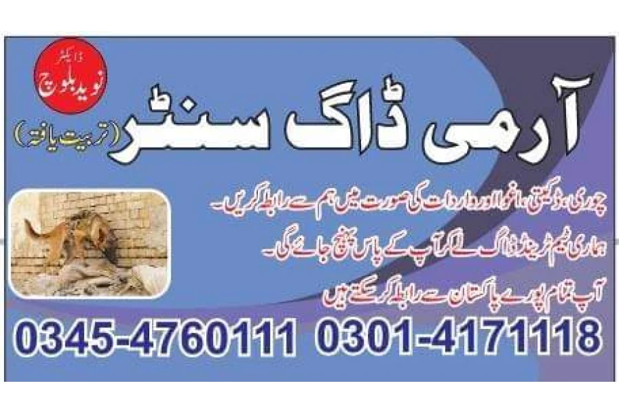 Army Dog Center Rawalpindi 034547601111