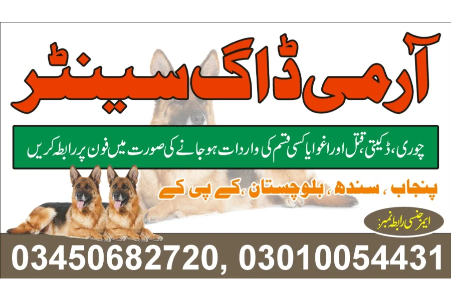 Army Dog Center Chakwal 03010054431