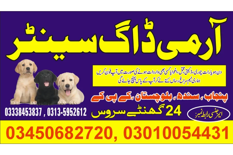 Army Dog Center Islamabad 03010054431