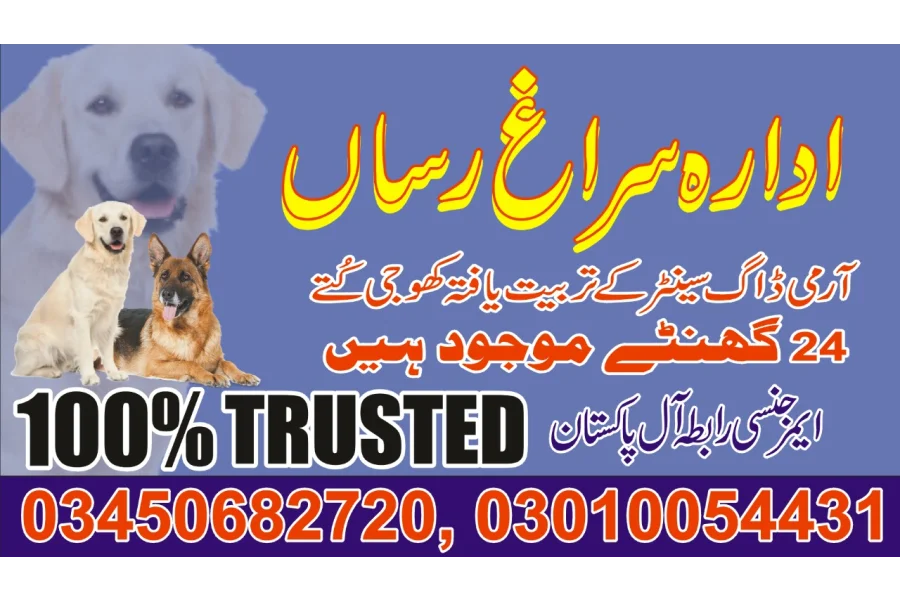 Army Dog Center Karachi 03010054431