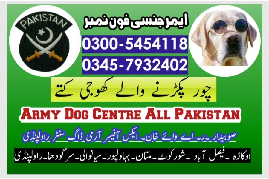 Khoji Dog Centre Faisalabad #03005454118