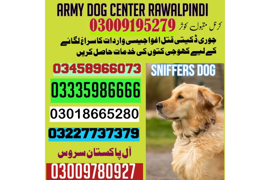آرمی ڈاگ سنٹر گوجر خان 03009195279 کھوجی ڈاگ سنٹر گوجر خان