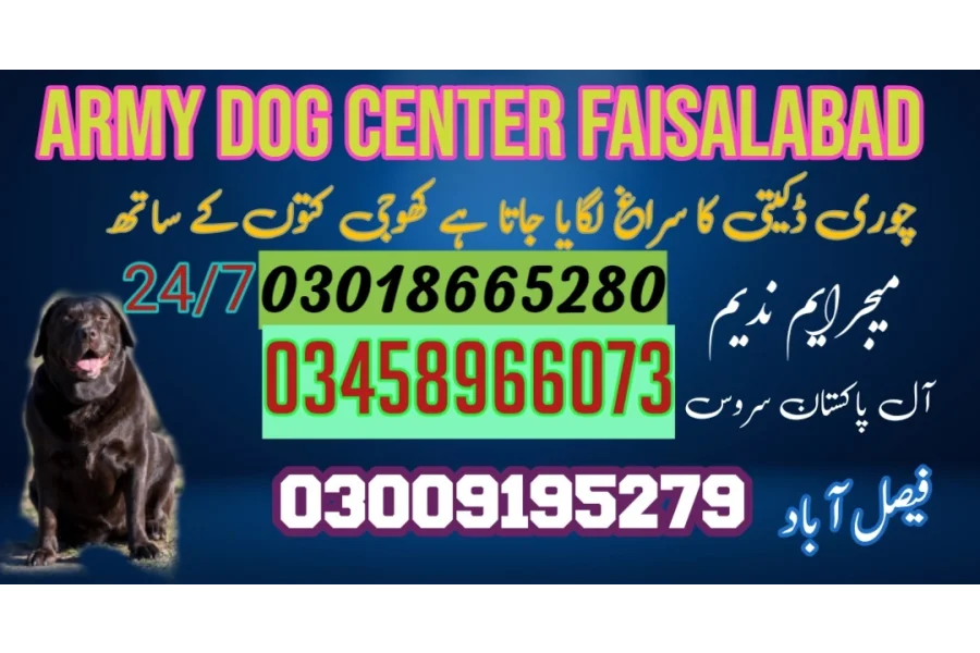 آرمی ڈاگ سنٹر راولپنڈی 03009195279 کھوجی کتا راولپنڈی