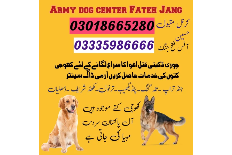 Army Dog Center Fateh Jang 03009780927 khoji dog center Fateh Jang