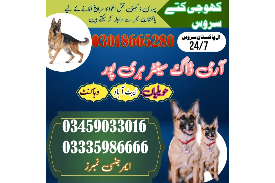 آرمی ڈاگ سنٹر واہ کینٹ 03458966073 کھوجی ڈاگ سنٹر واہ کینٹ