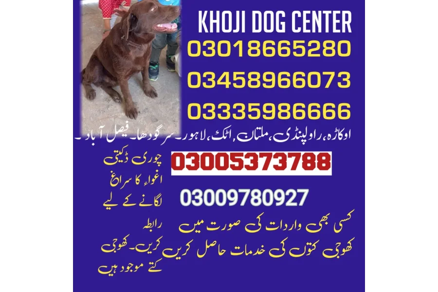 آرمی ڈاگ سنٹر اٹک 03018665280 کھوجی ڈاگ سنٹر اٹک