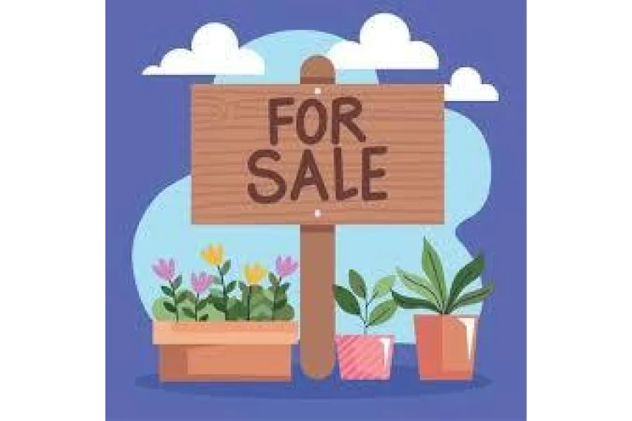 رنگ روڈ راولپنڈی میں 3 مرلہ پلاٹ برائے فروخت میں - پلاٹ # 19