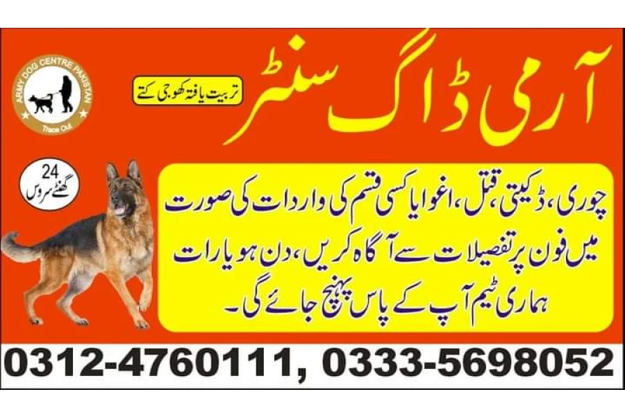 آرمی ڈاگ سنٹر خانیوال 03124760111
