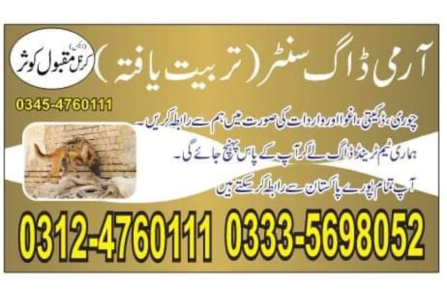 آرمی ڈاگ سنٹر شورکوٹ 03124760111