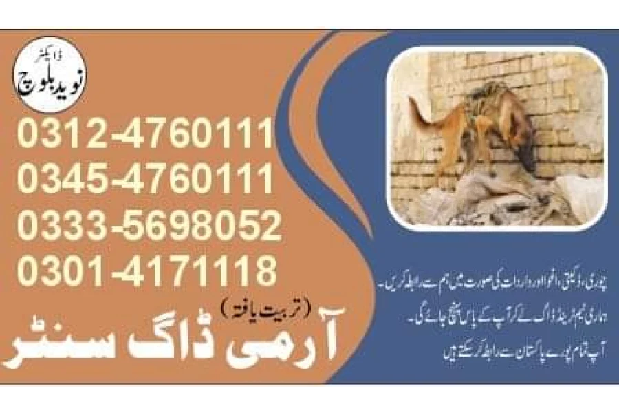 Army Dog Center Kasur 03454760111