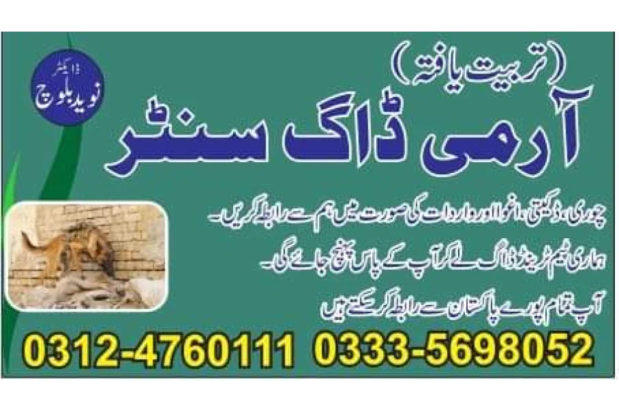 Army Dog Center Shorkot 03454760111