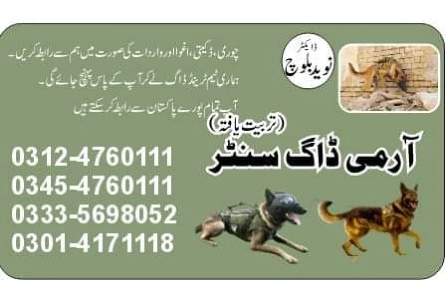 آرمی ڈاگ سنٹر شورکوٹ 03014171118