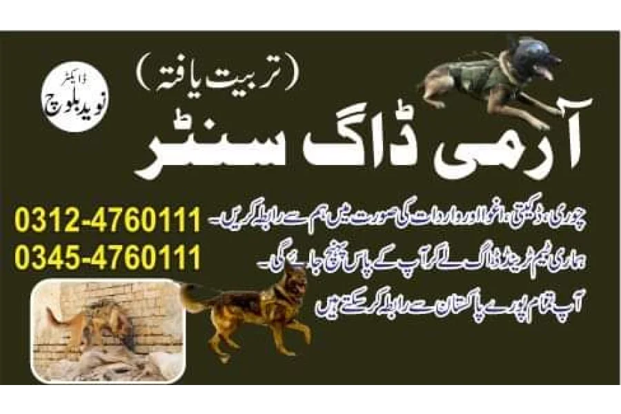 آرمی ڈاگ سینٹر میٹریس 03124760111