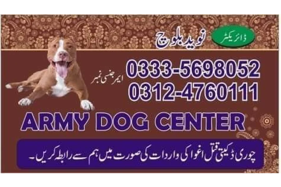 آرمی ڈاگ سینٹر میٹریس 03014171118