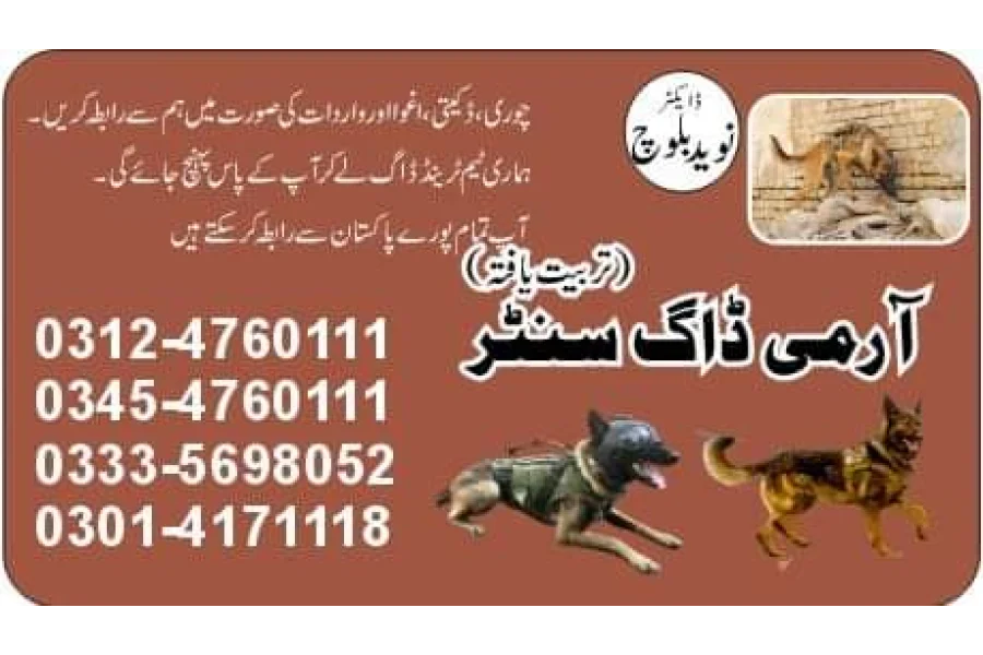آرمی ڈاگ سنٹر بھکر 03124760111