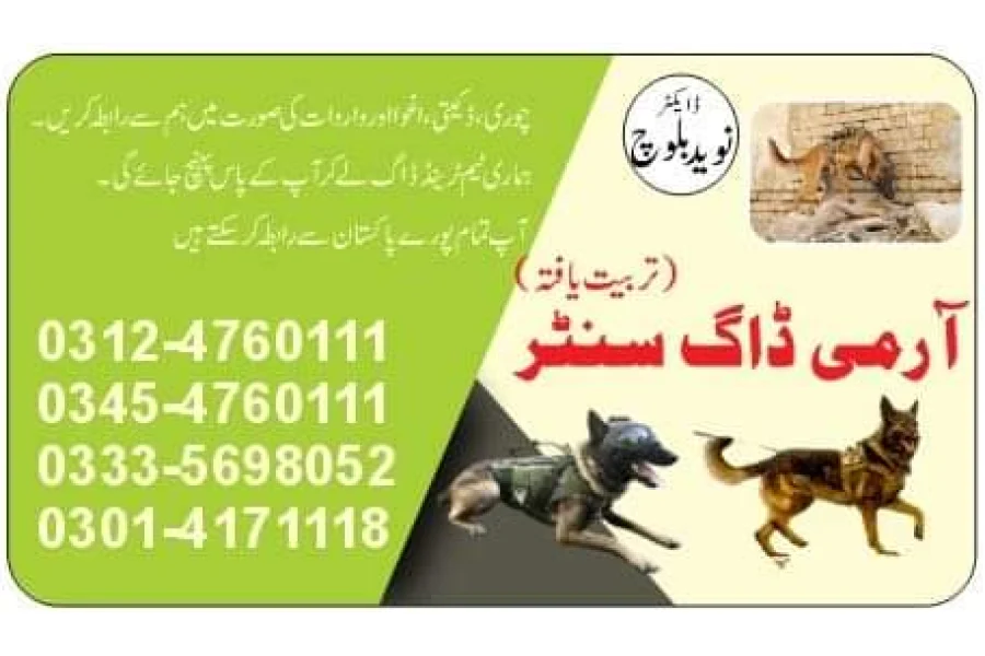 Army Dog Center D G Khan 03335698052