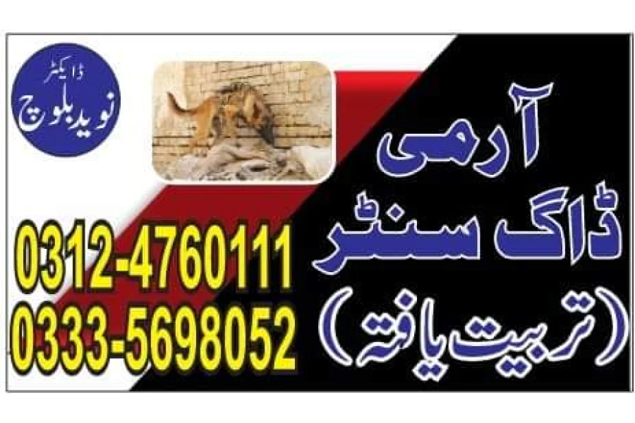 Army Dog Center Taunsa 03335698052