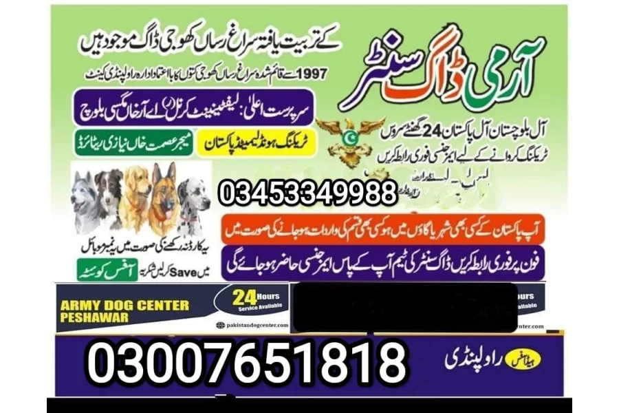 آرمی ڈاگ سنٹر جوہرآباد 03007651818