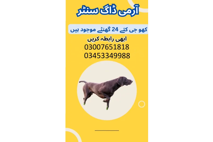 آرمی ڈاگ سنٹر جھنگ 0344784546