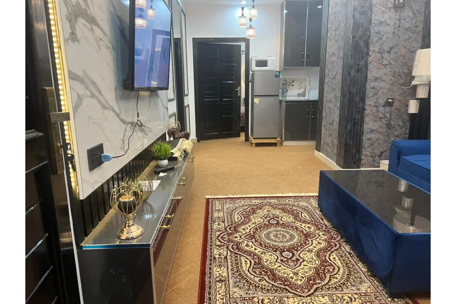 سیف ہائٹس مکمل طور پر فرنشڈ 1 بیڈروم فلیٹ (485 مربع فٹ)