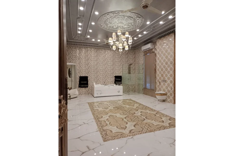 10 Kanal Royal Palace for Sale