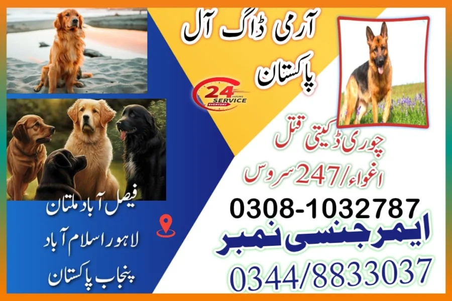 Army dog centre pakistan-03434823595-03081032787