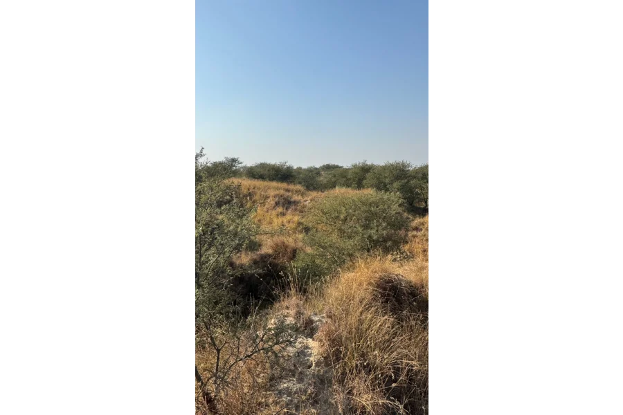 100 kanal agricultural land Chakwal