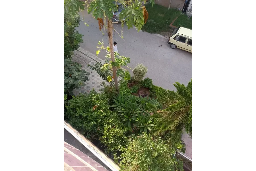 Mumtaz City Commercial Plot 40x60 Investor Price For Sale