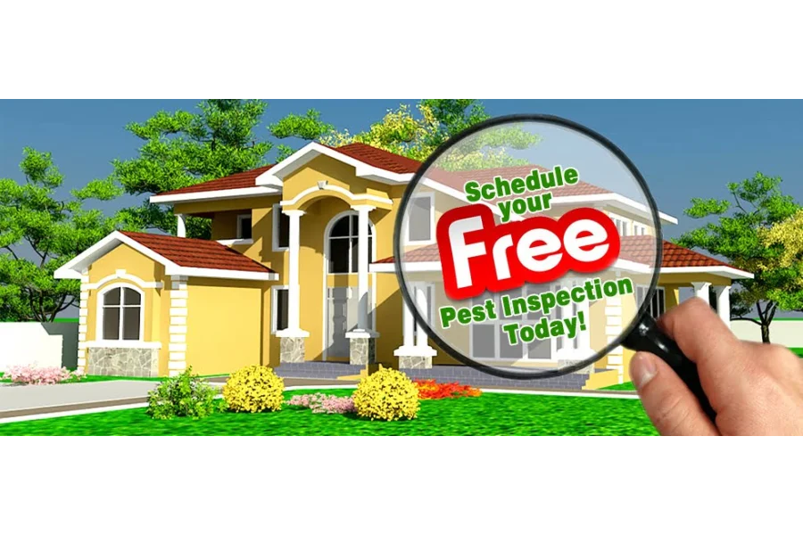 اپنے گھر کو دیمک سے بچائیں۔ دیمک کا علاج | ڈیمک کنٹرول