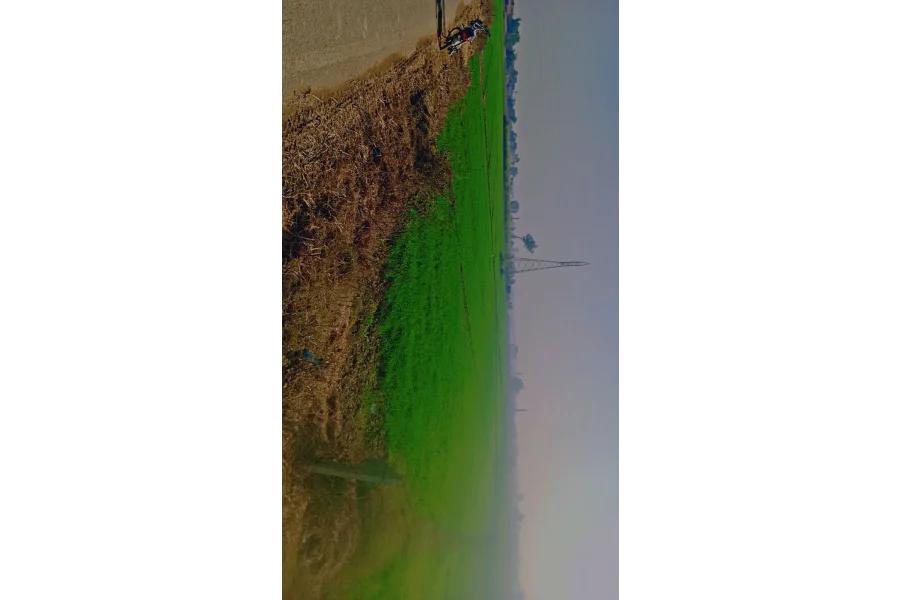 Land For Sale: 20.5 Acres of Prime Land on Kala qadir Road, Narowal