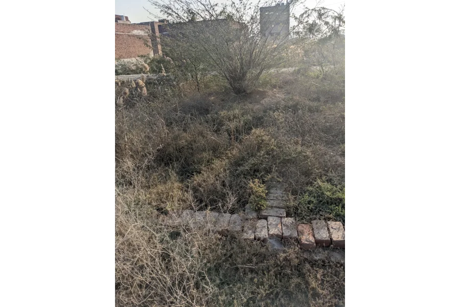 سرگودھا میں پریمیم لوکیشن بہترین سرمایہ کاری پلاٹ برائے فروخت