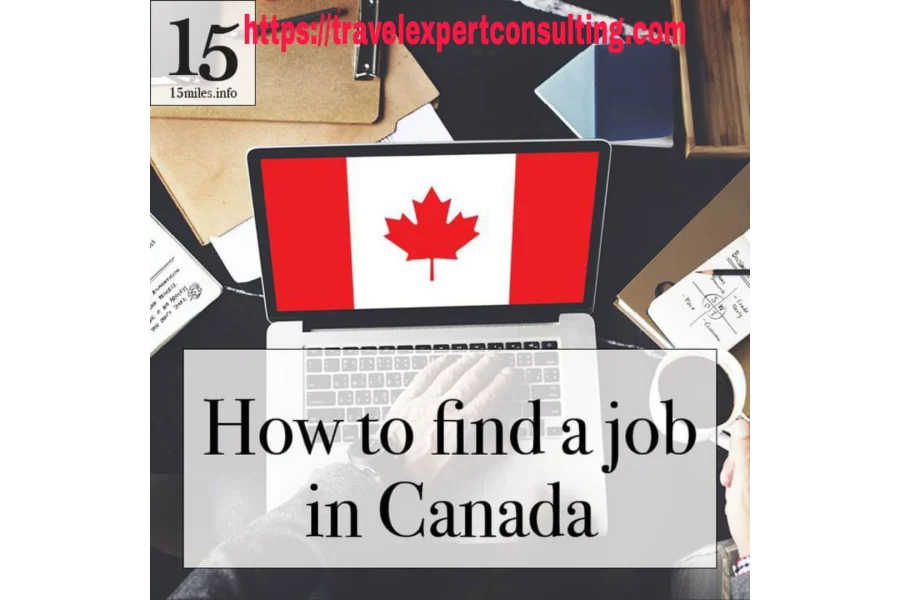Canadian work company|study visit visa free jobs 2025