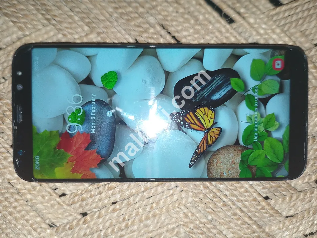 Samsung Galaxy S8 plus