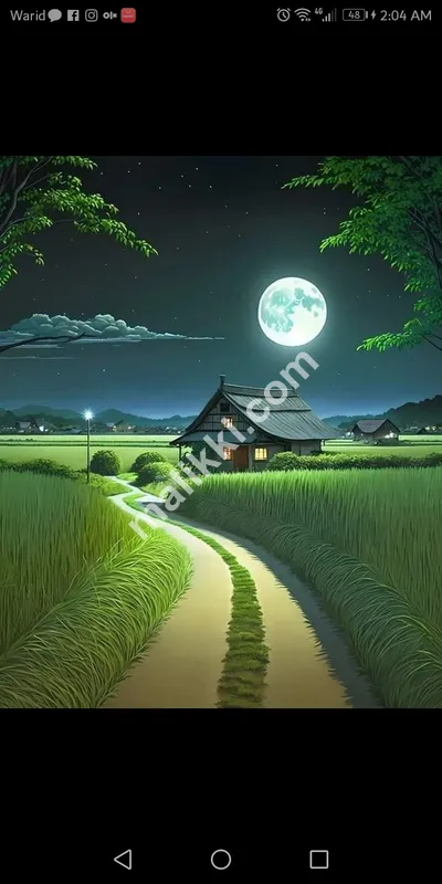 5 Merla Plot for sale