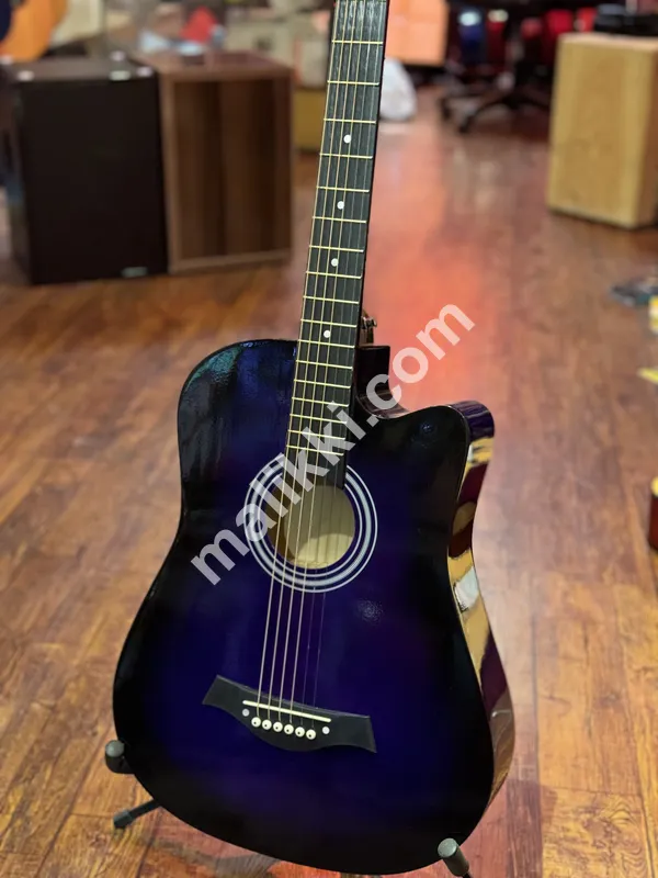 Gws-10 Monster series by guitar wood Japan made begginer guitars