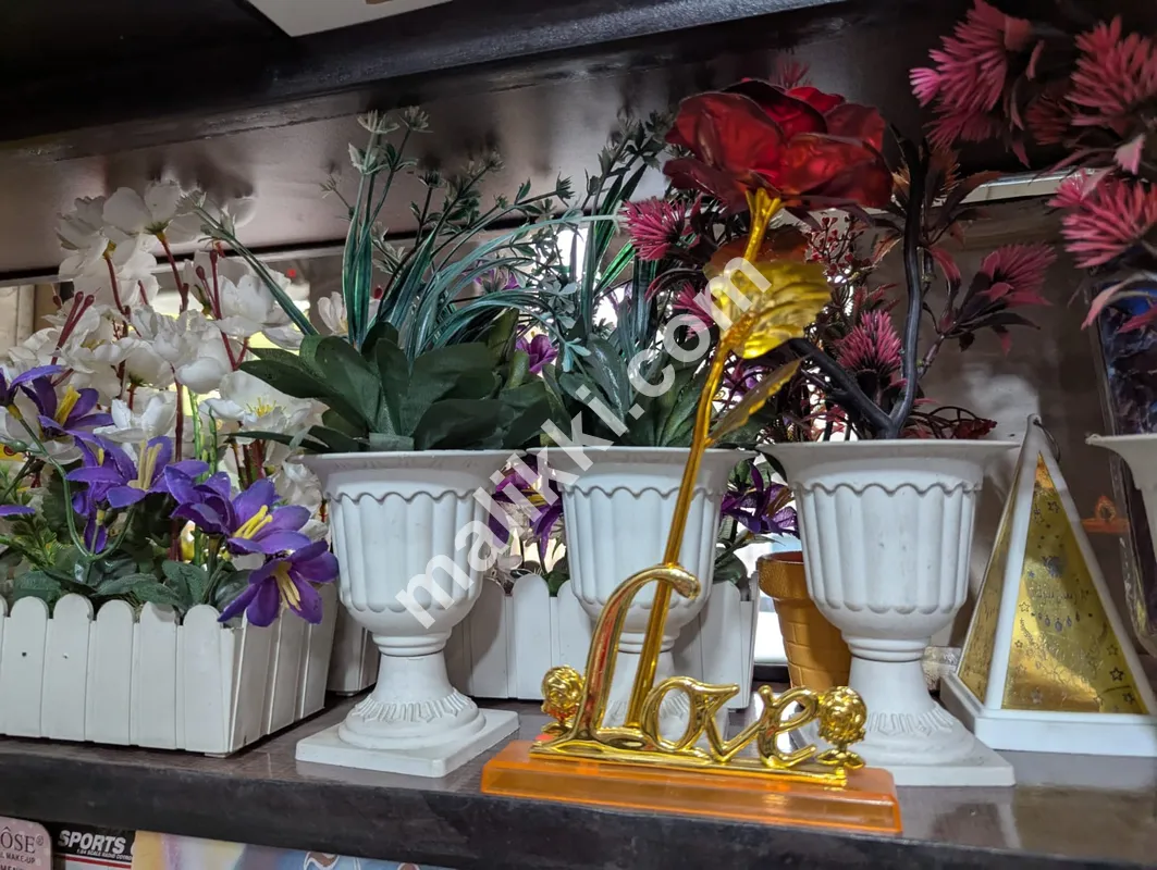 Flower Pots
