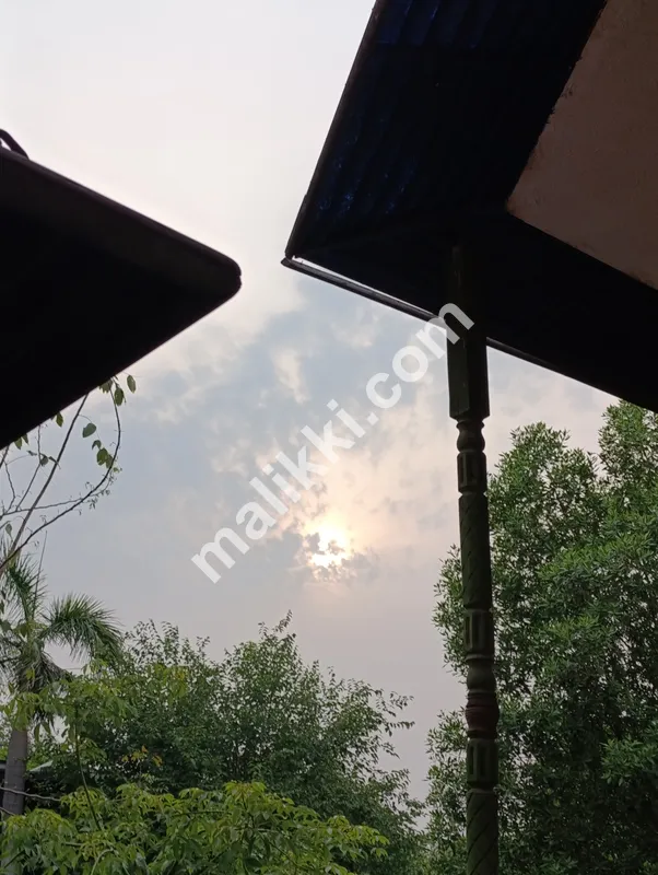 Editor of photo and video also do photography 