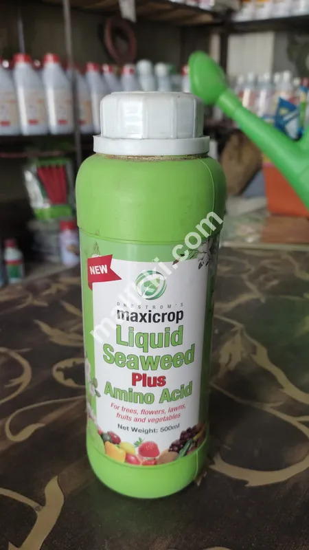 Maxicrop Liquid Seaweed spray