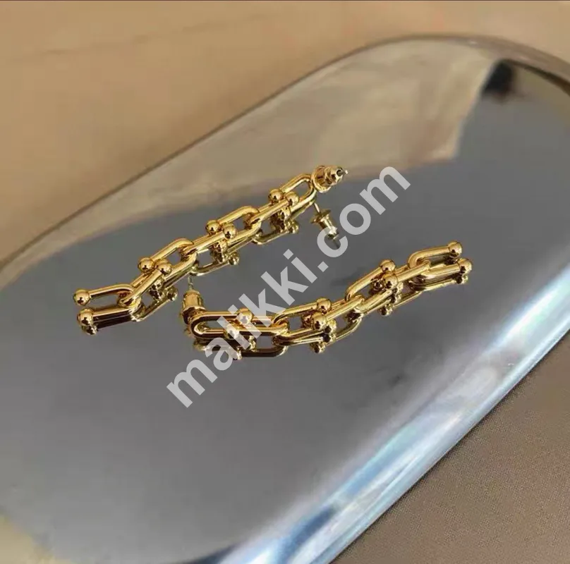 Stainless Steel Earring