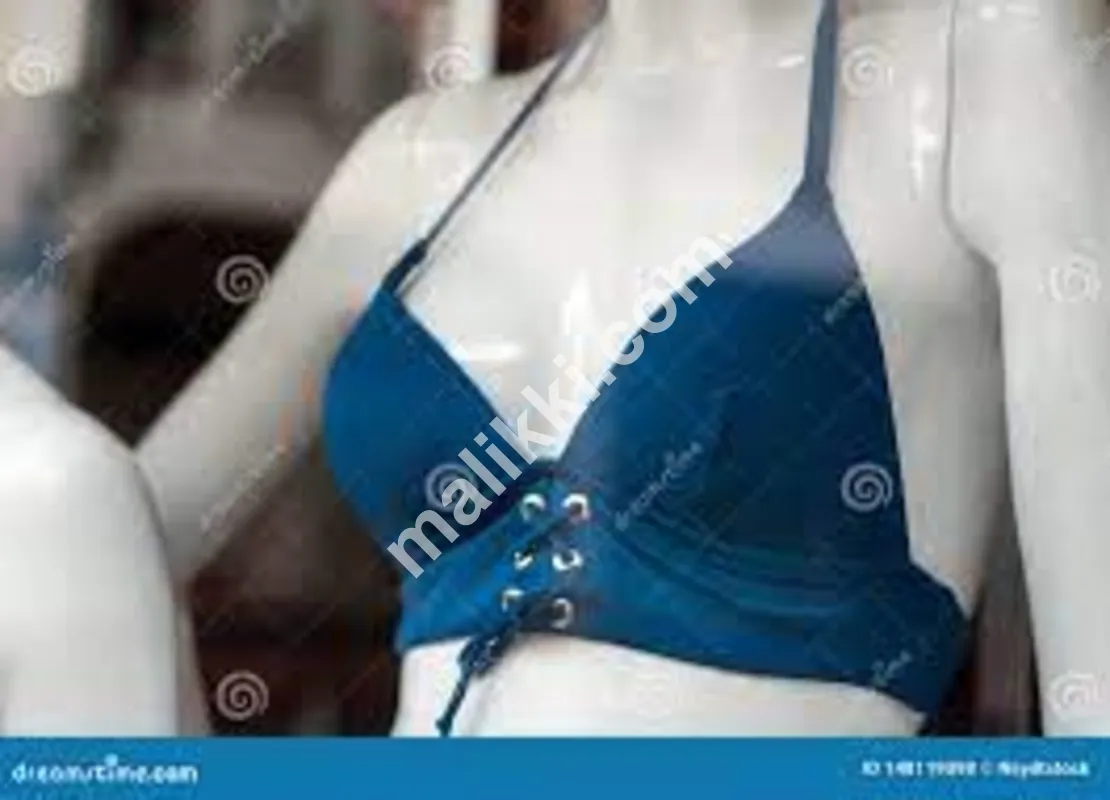 Padded Bra