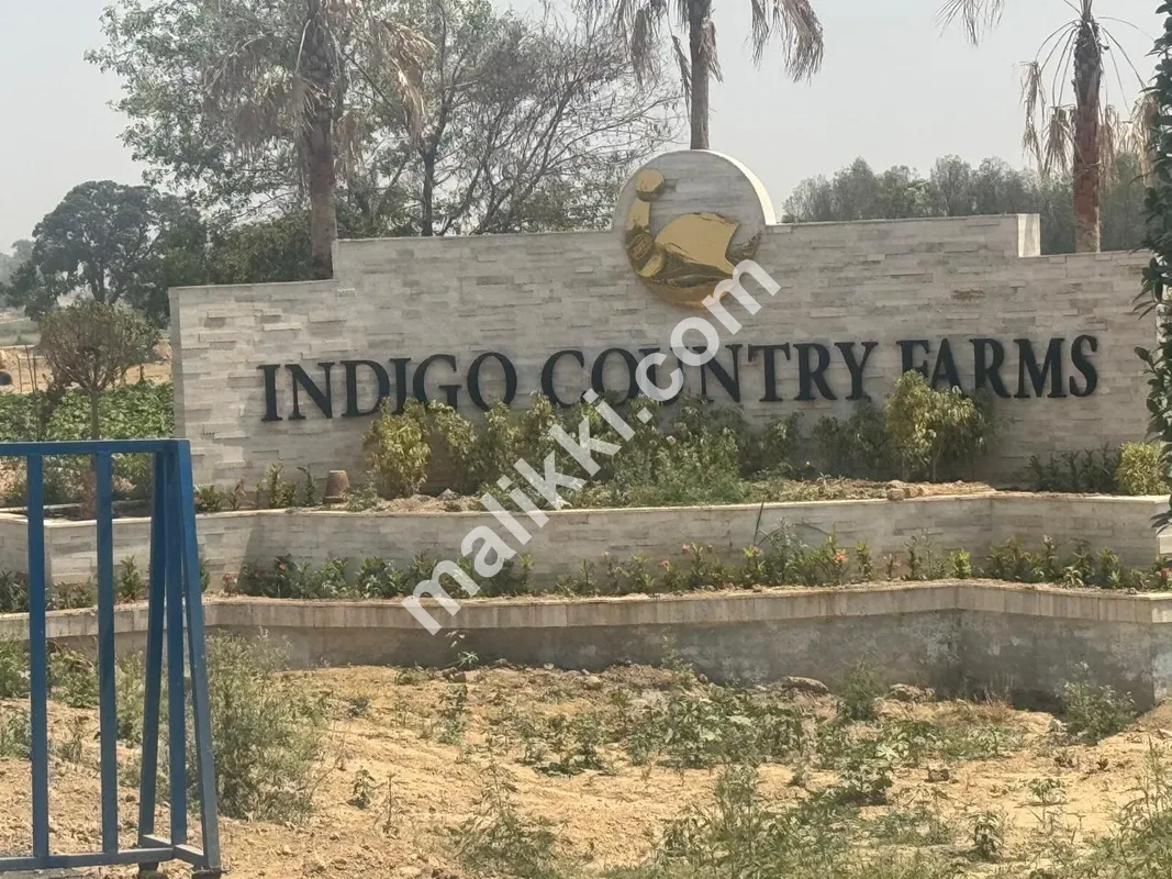 Beautiful plot For Sale | Registry Inteqaal