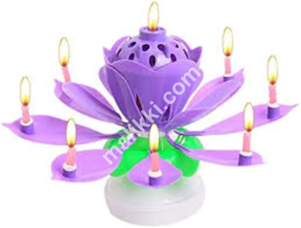 Happy Birthday Flower Candle With Music
