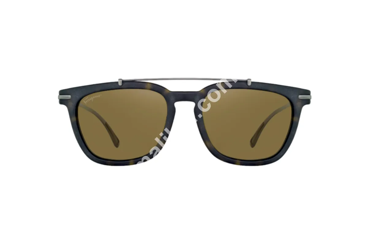 Salvatore Ferragamo Men SF820s 213