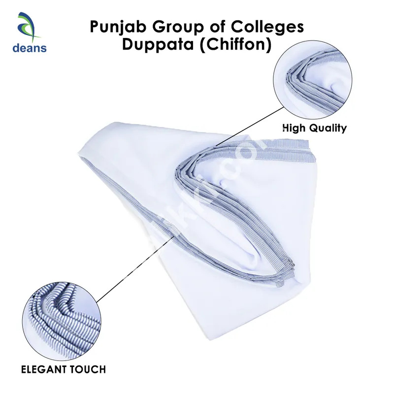 Punjab Group of Colleges Duppata (Chiffon)  Girl